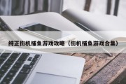 纯正街机捕鱼游戏攻略（街机捕鱼游戏合集）