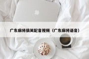 广东麻将搞笑配音视频（广东麻将语音）