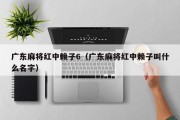 广东麻将红中赖子6（广东麻将红中赖子叫什么名字）