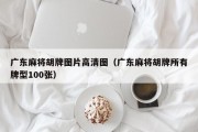 广东麻将胡牌图片高清图（广东麻将胡牌所有牌型100张）