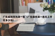广东麻将何为清一色（广东麻将清一色杠上开花多少倍）