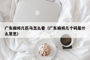广东麻将几匹马怎么看（广东麻将几个码是什么意思）