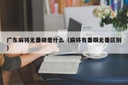 广东麻将无番胡是什么（麻将有番跟无番区别）